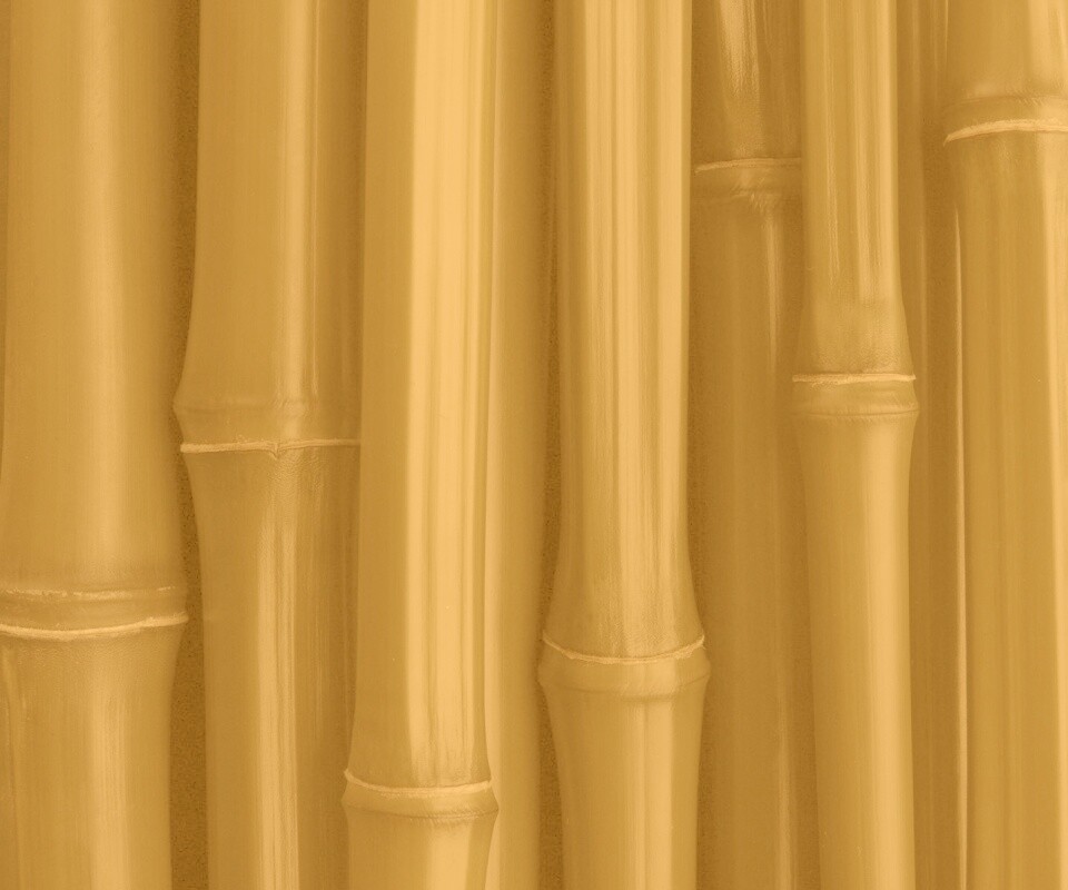 Бамбуковая роща обои