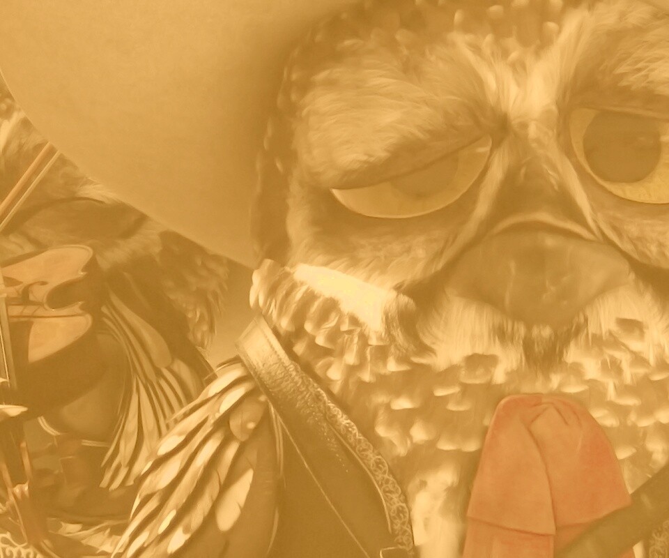 Совы-мариачи из Ранго обои