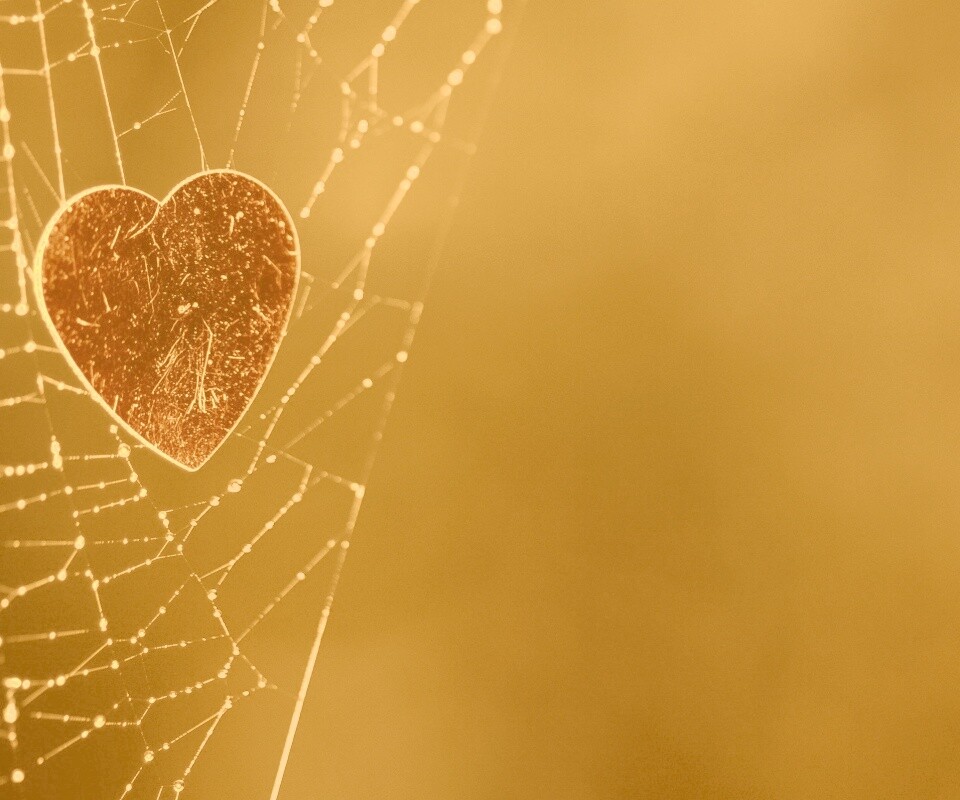 Запутавшаяся любовь.. обои