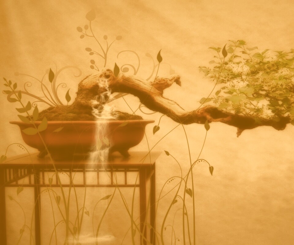 Карликовое дерево обои