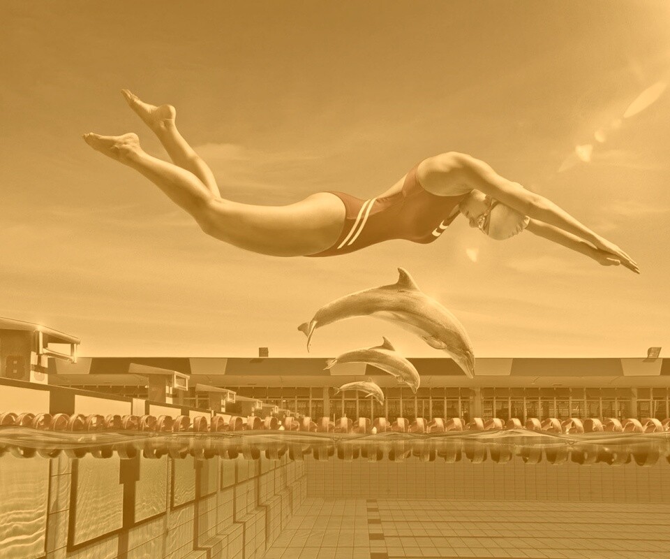 Соревнование обои