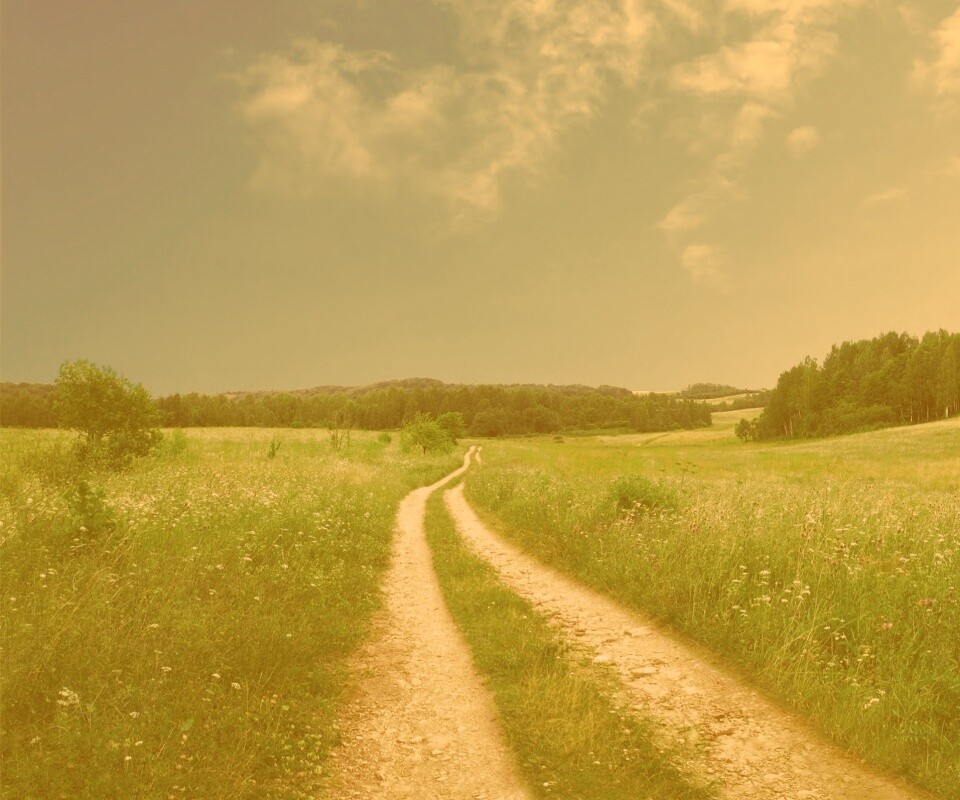 Дорога через луг обои