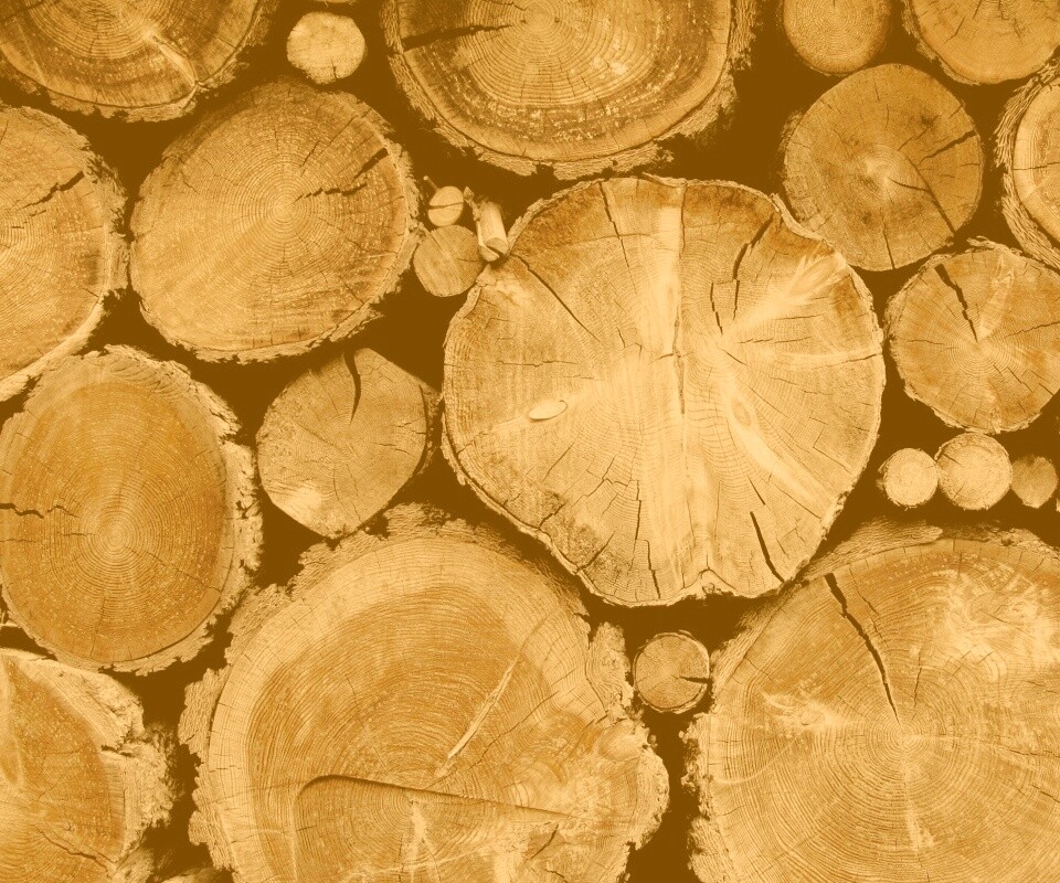 Древесный спил обои