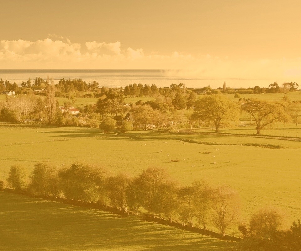 Сельская природа обои