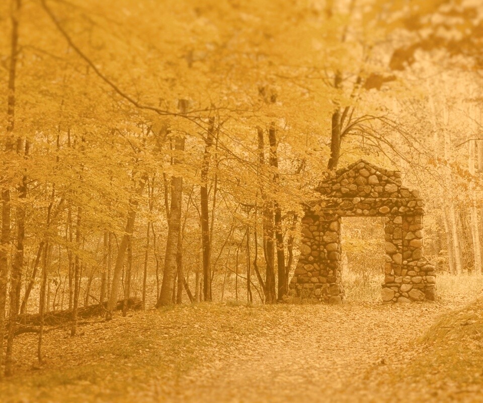 Каменная арка в осеннем лесу обои