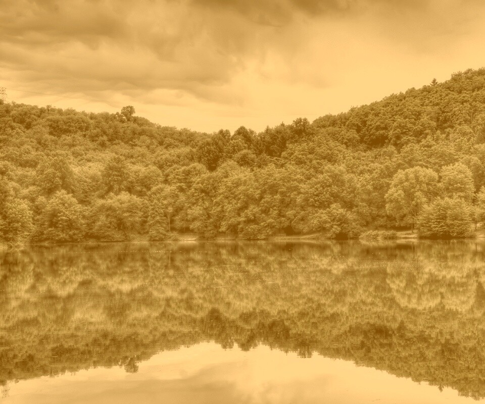 Лесной берег обои