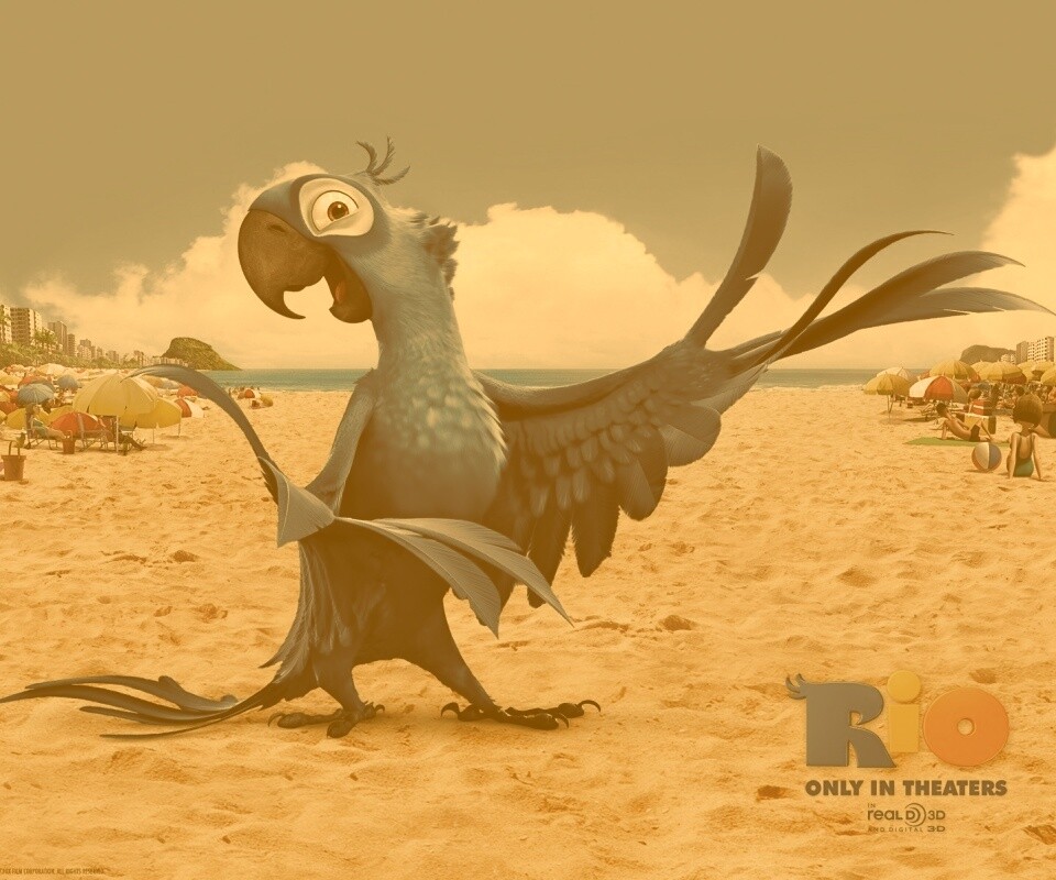 Blu из Rio обои