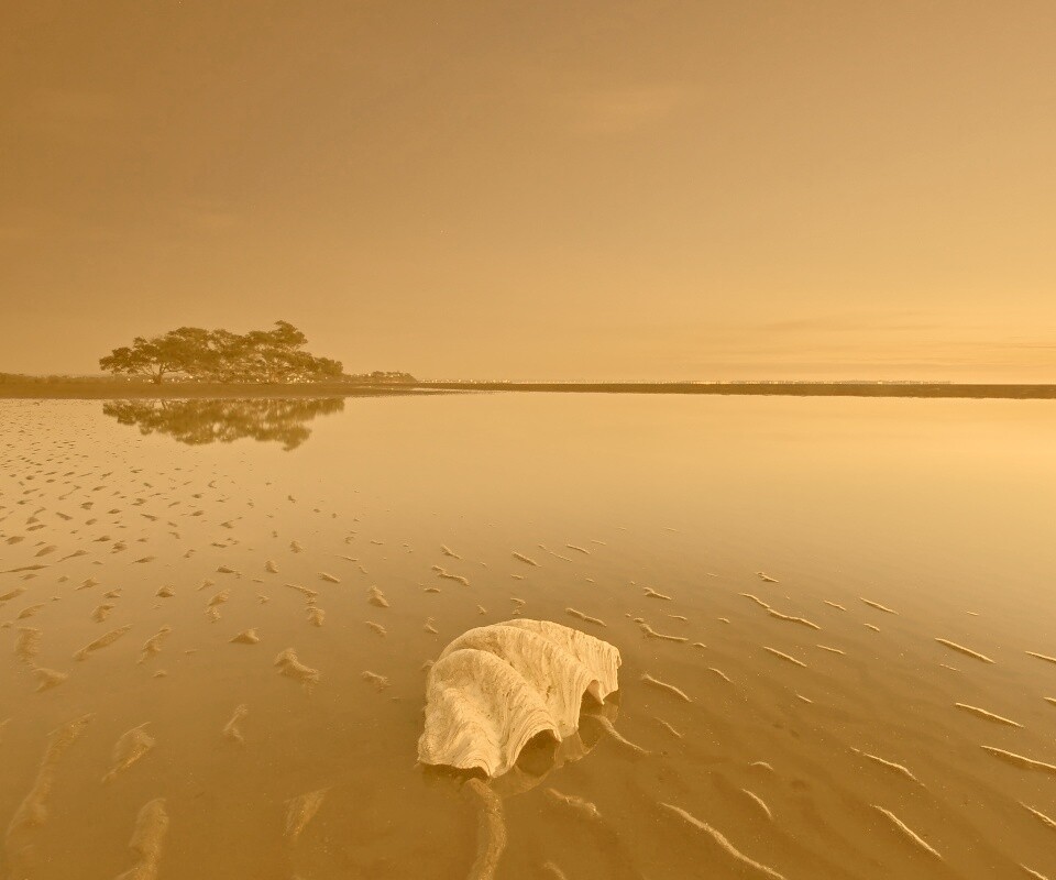 Закат на берегу моря обои