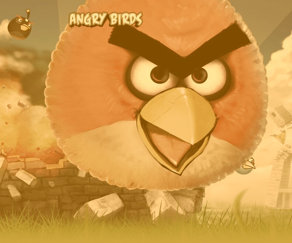 Angry Birds обои