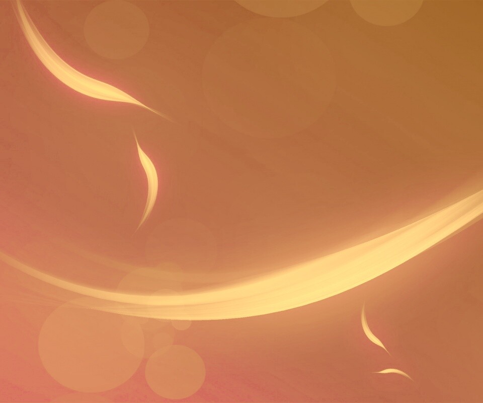 Лепестки света обои