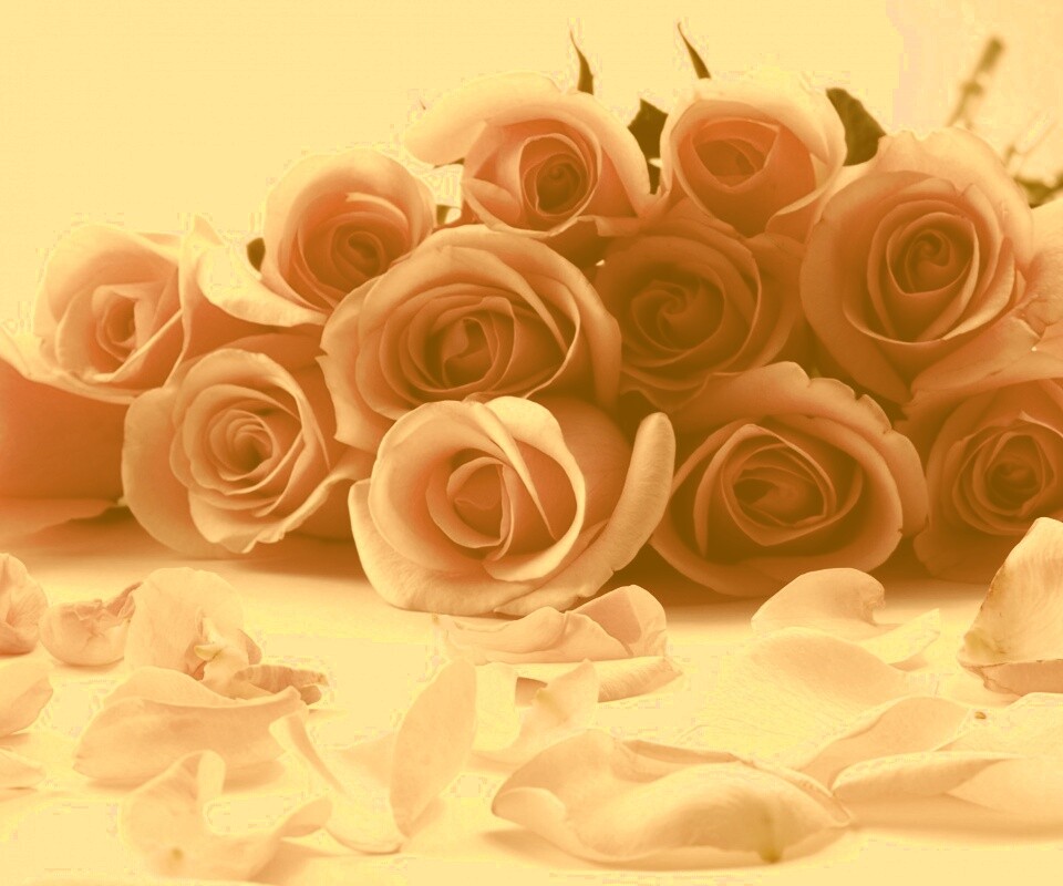 Букет роз обои