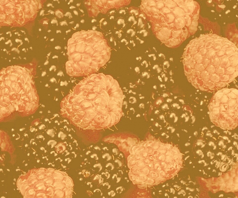 Малина и ежевика обои