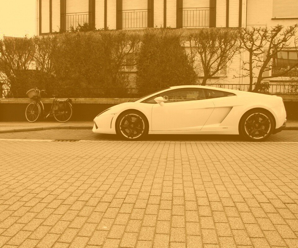 Белый Lamborghini обои
