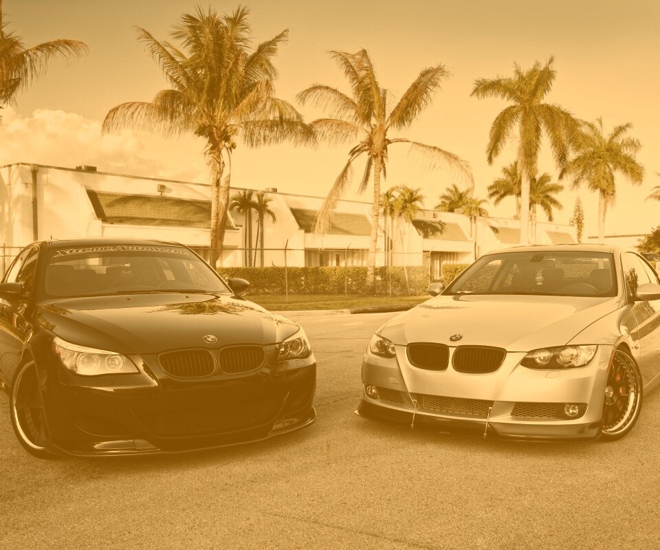 Две БМВ обои