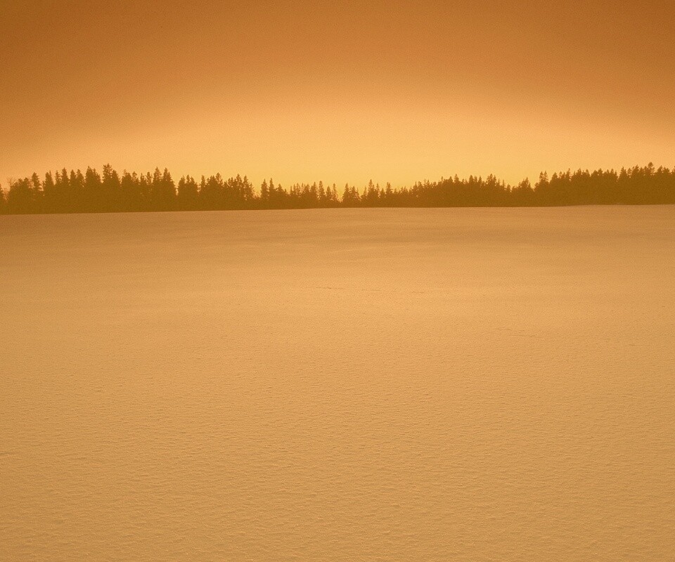 Восход над заснеженным лесом обои