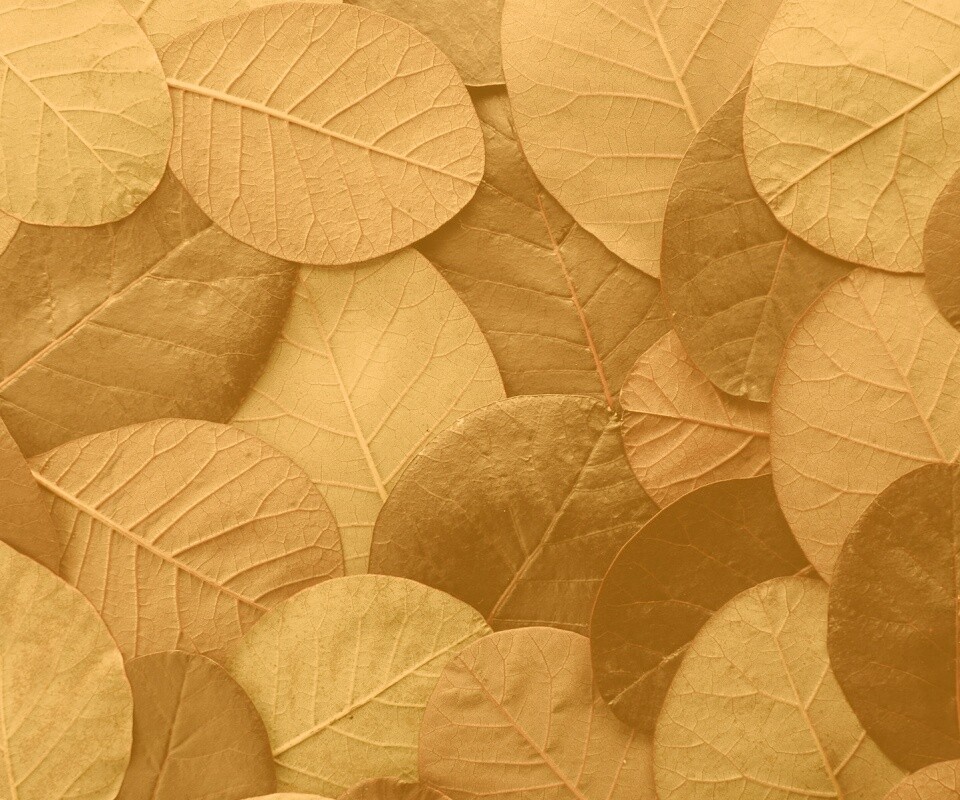 Лиственный узор обои