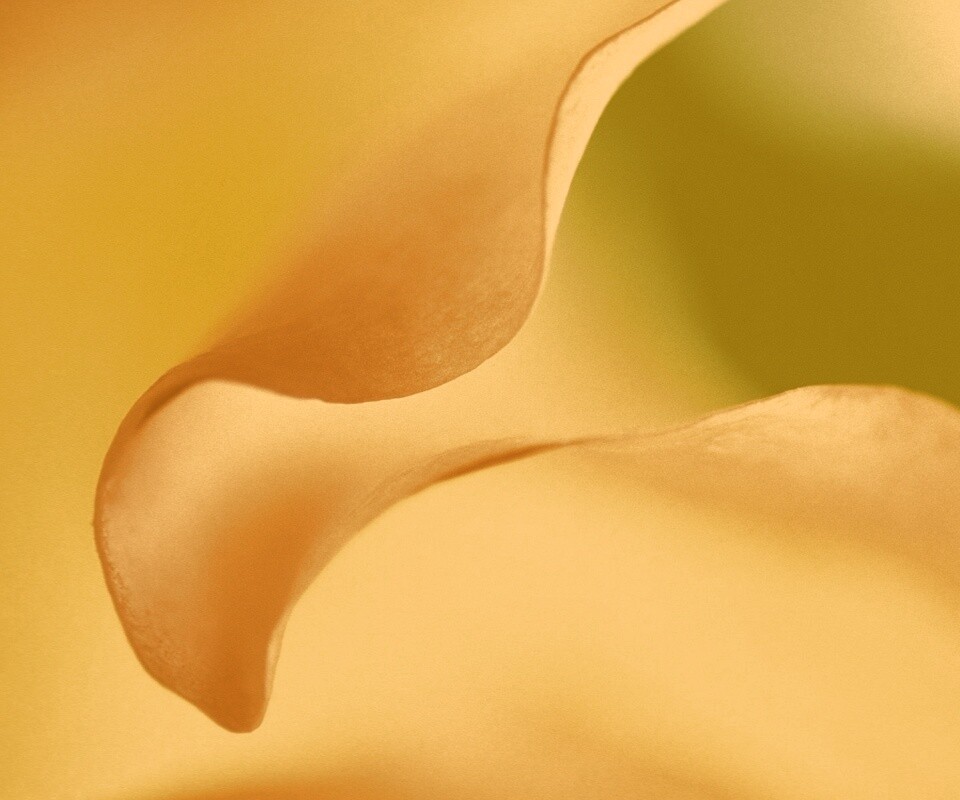 Оттенки природы обои