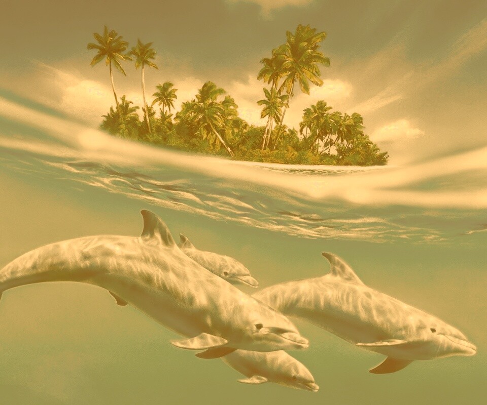 Остров дельфинов обои