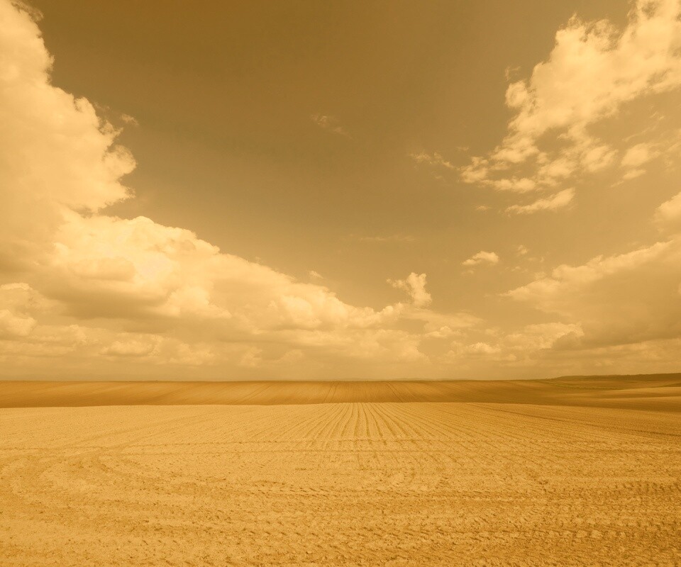 Незасеянное поле обои