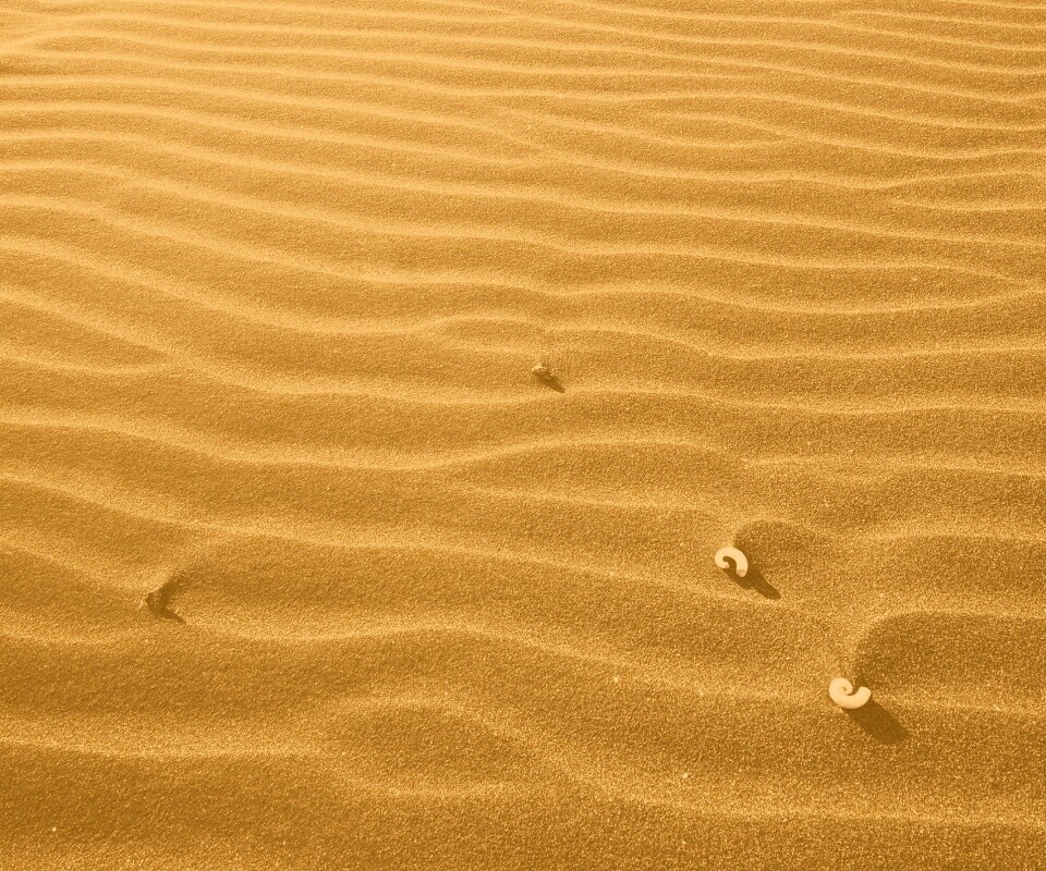 Песок и раковины обои