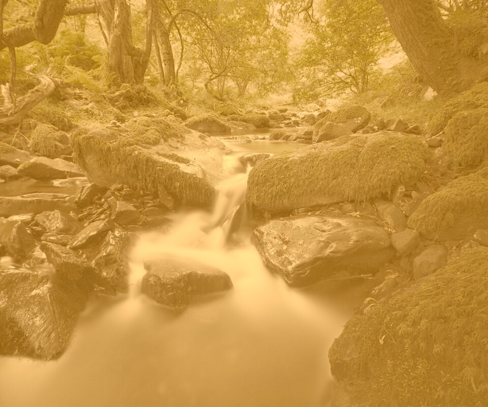 Речной поток в лесу обои