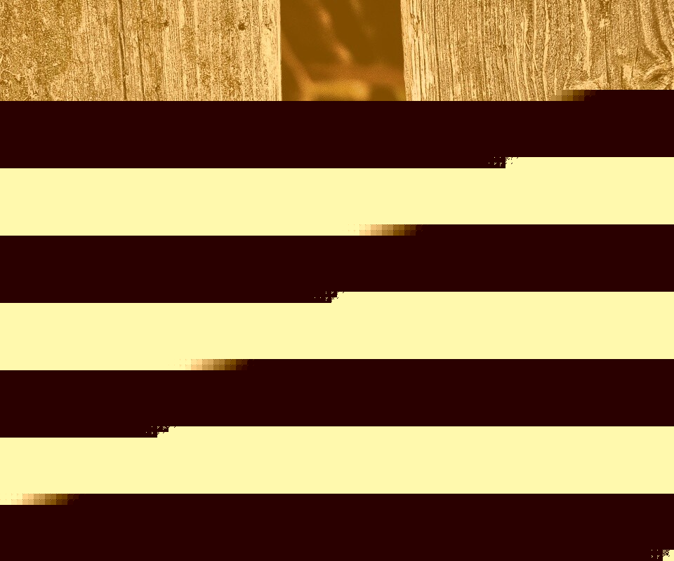 Собака выглядывает из-за забора обои