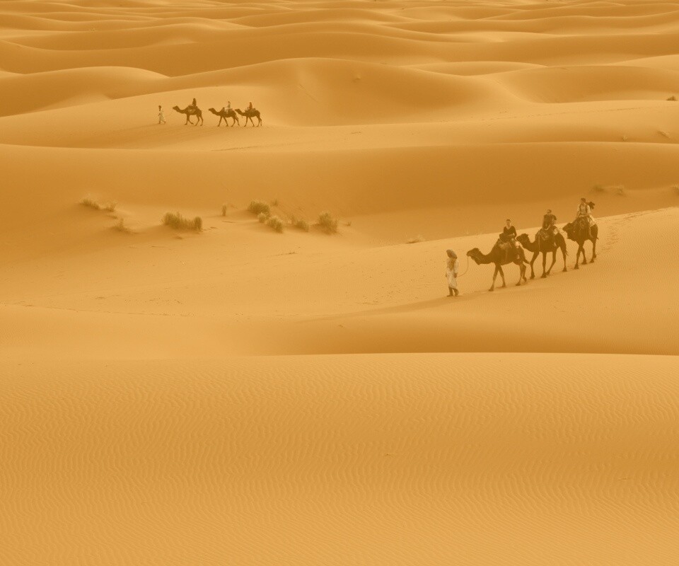 Караваны пустыни обои