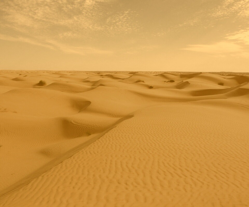 Пустыня до самого горизонта обои