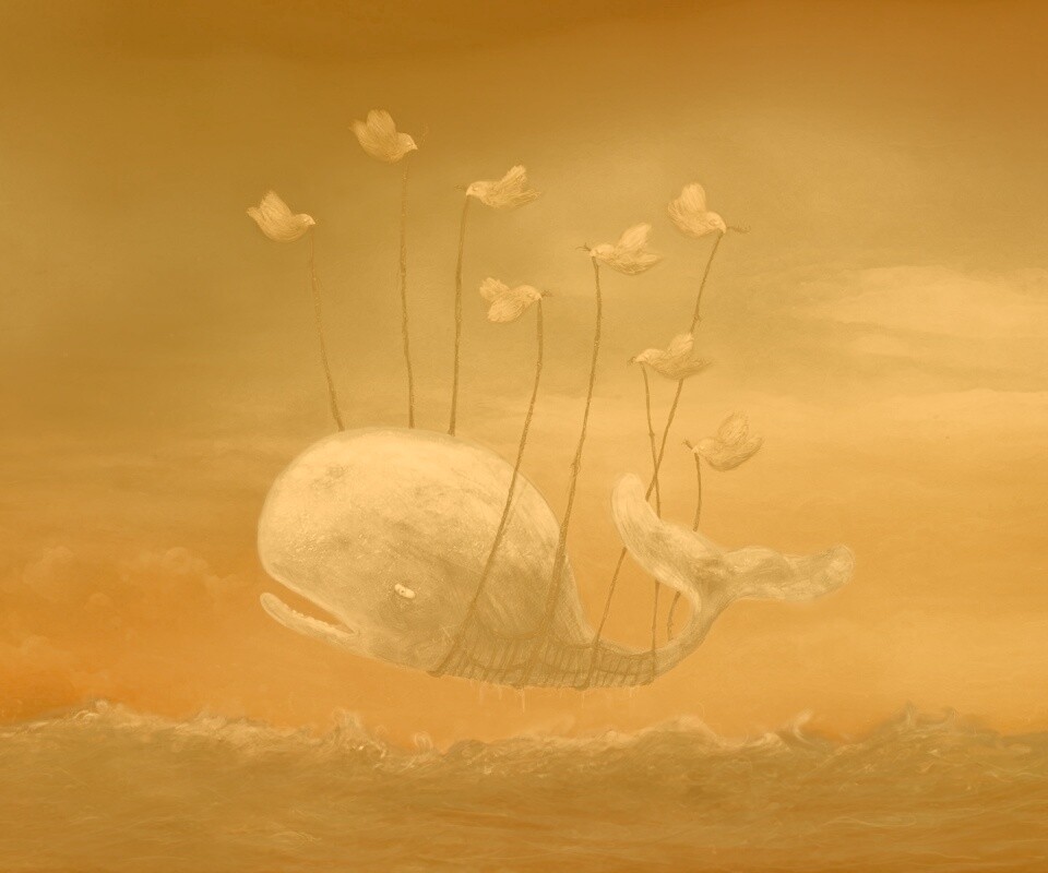 Twitter Fail-Whale обои