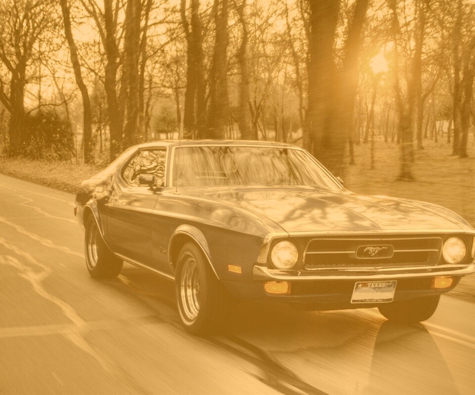 Мустанг обои