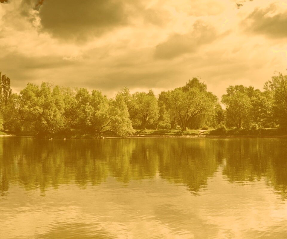 Деревья на берегу озера обои