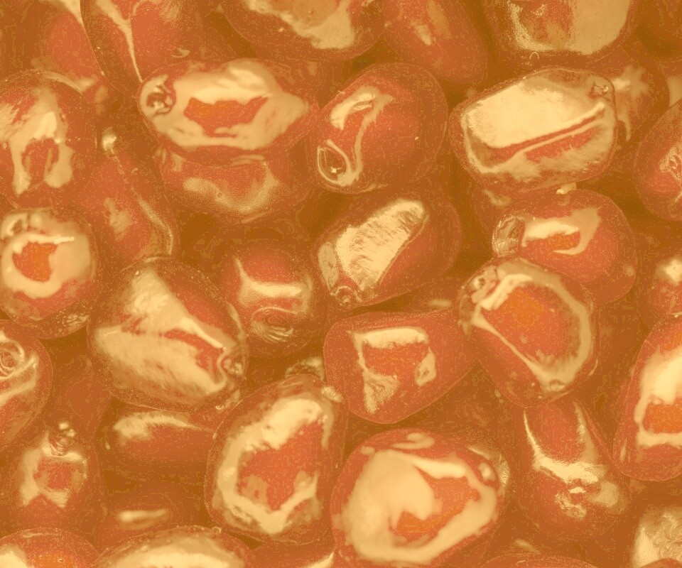 Ядра граната обои