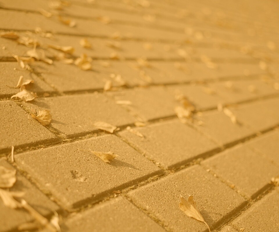 Тротуар обои