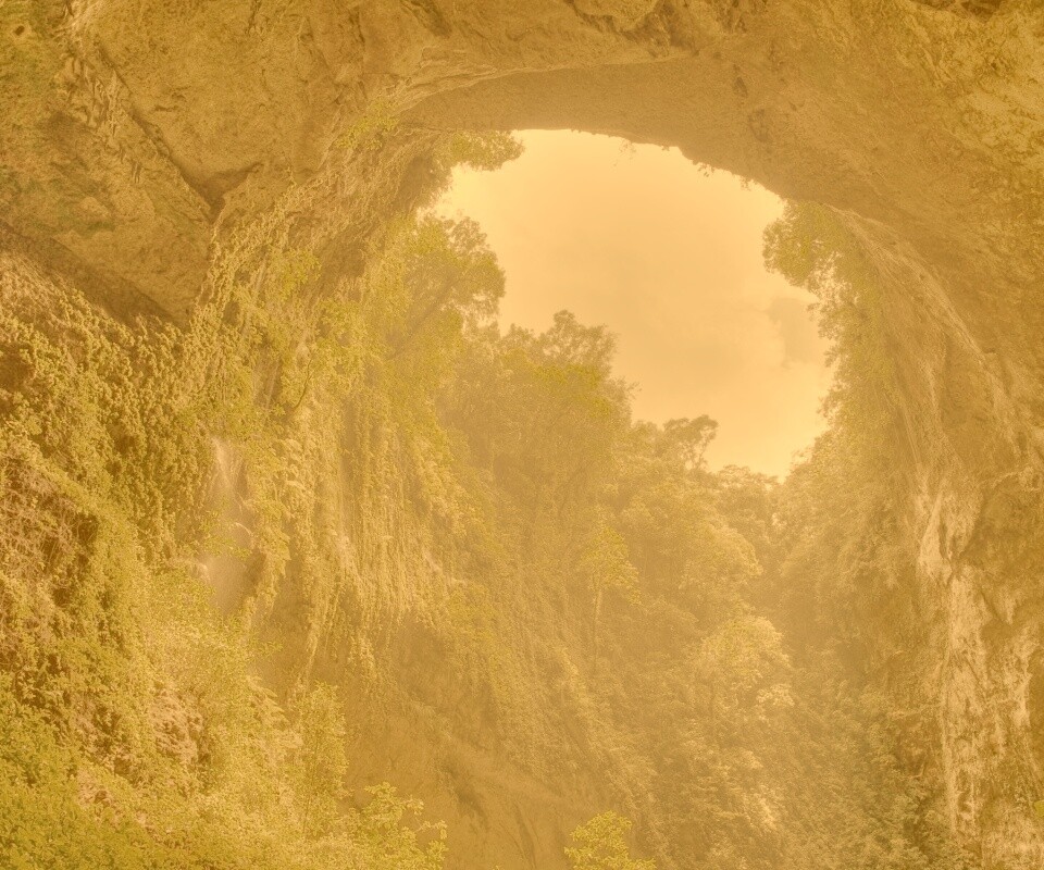 Заросшее ущелье обои