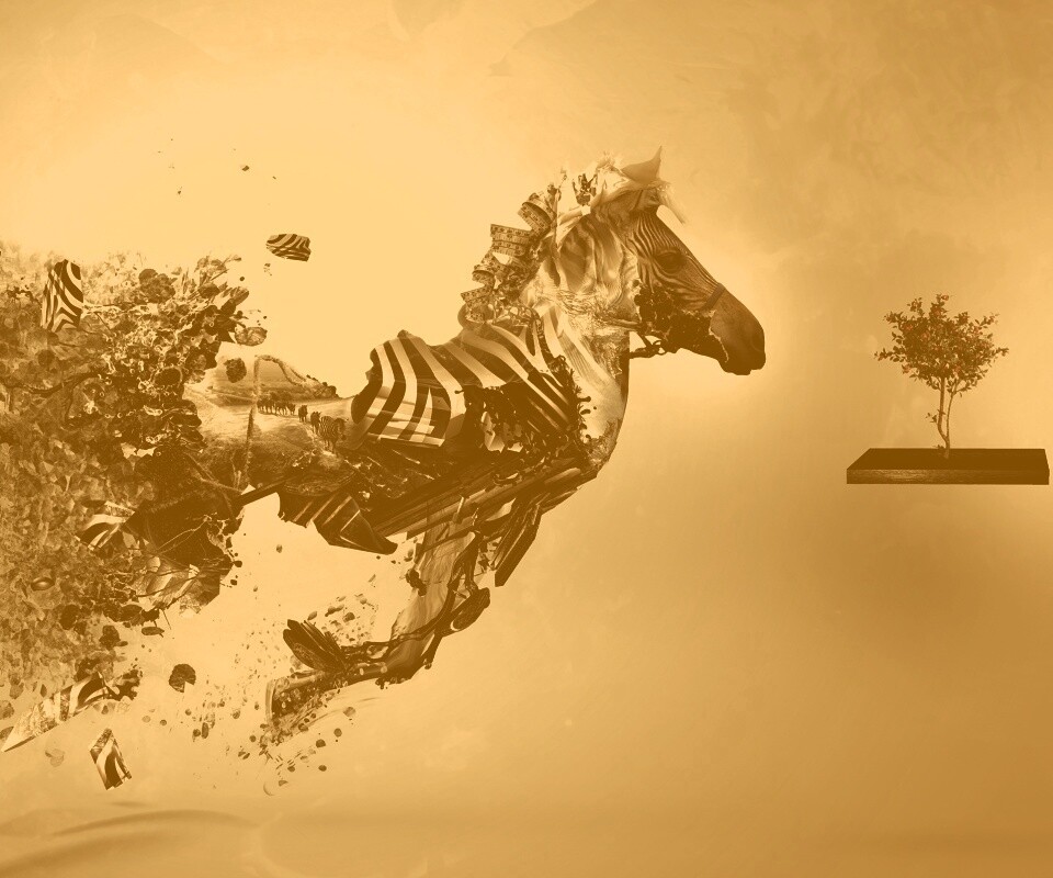 Зебра и бонсай обои