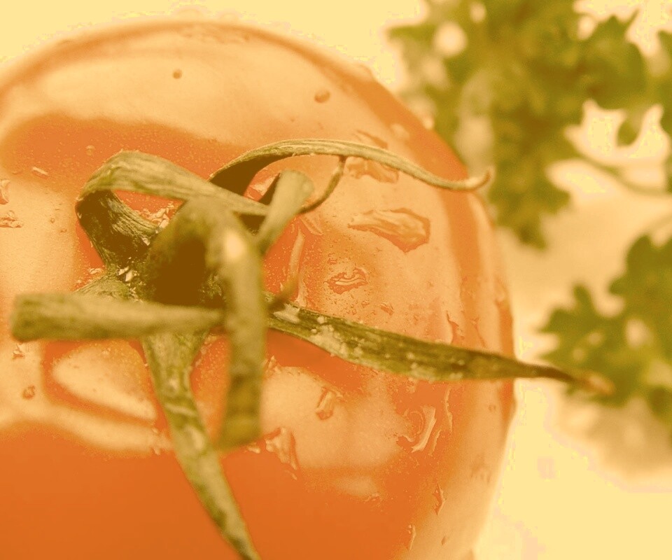 Свежая помидорка обои