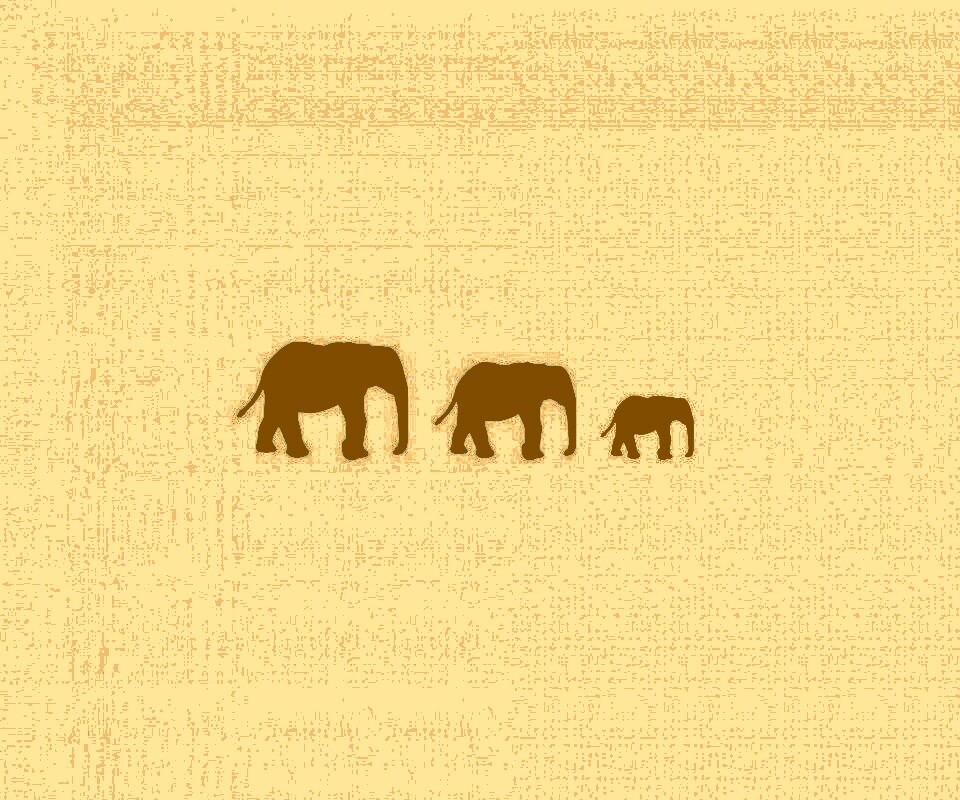 Вереница слонов обои