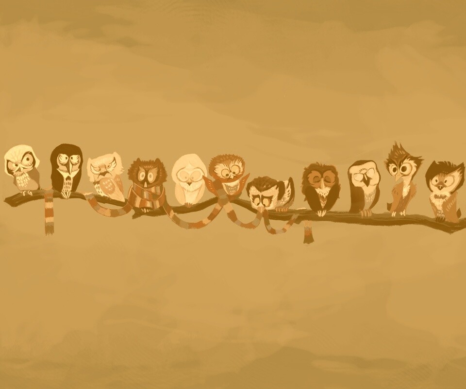 Совы на ветке обои