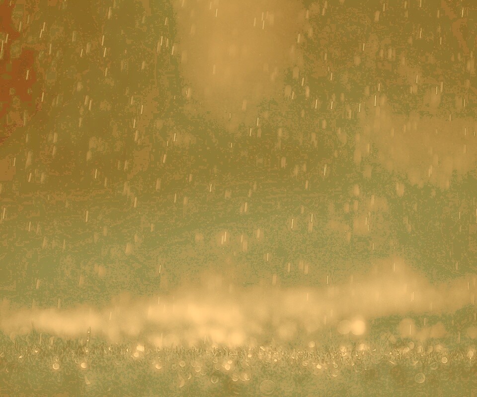 Макро фото дождя обои