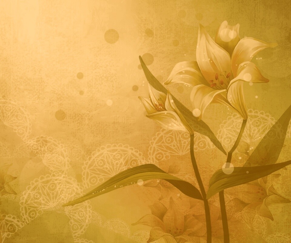 Красивое изображение лилии обои