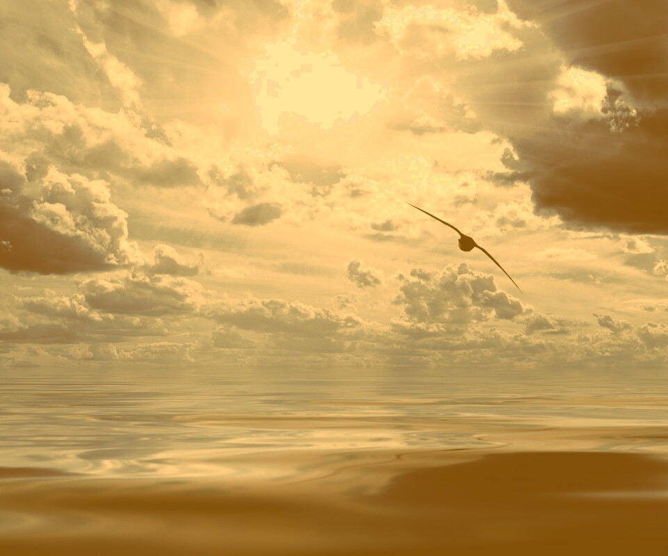 Лети как птица над волнами обои