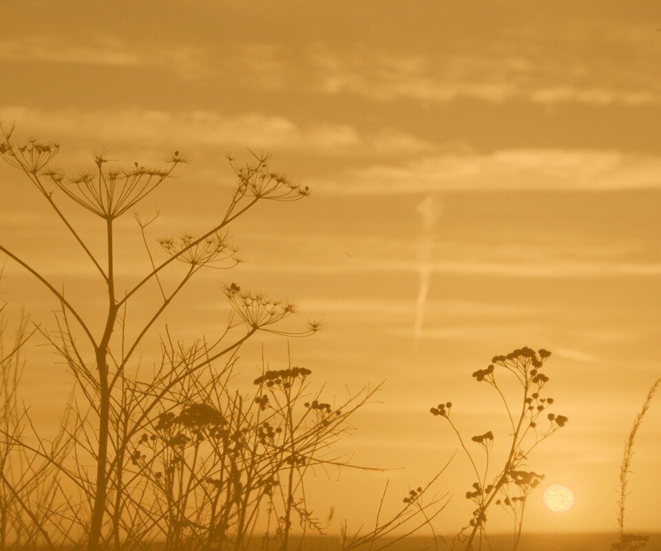 Степной закат обои