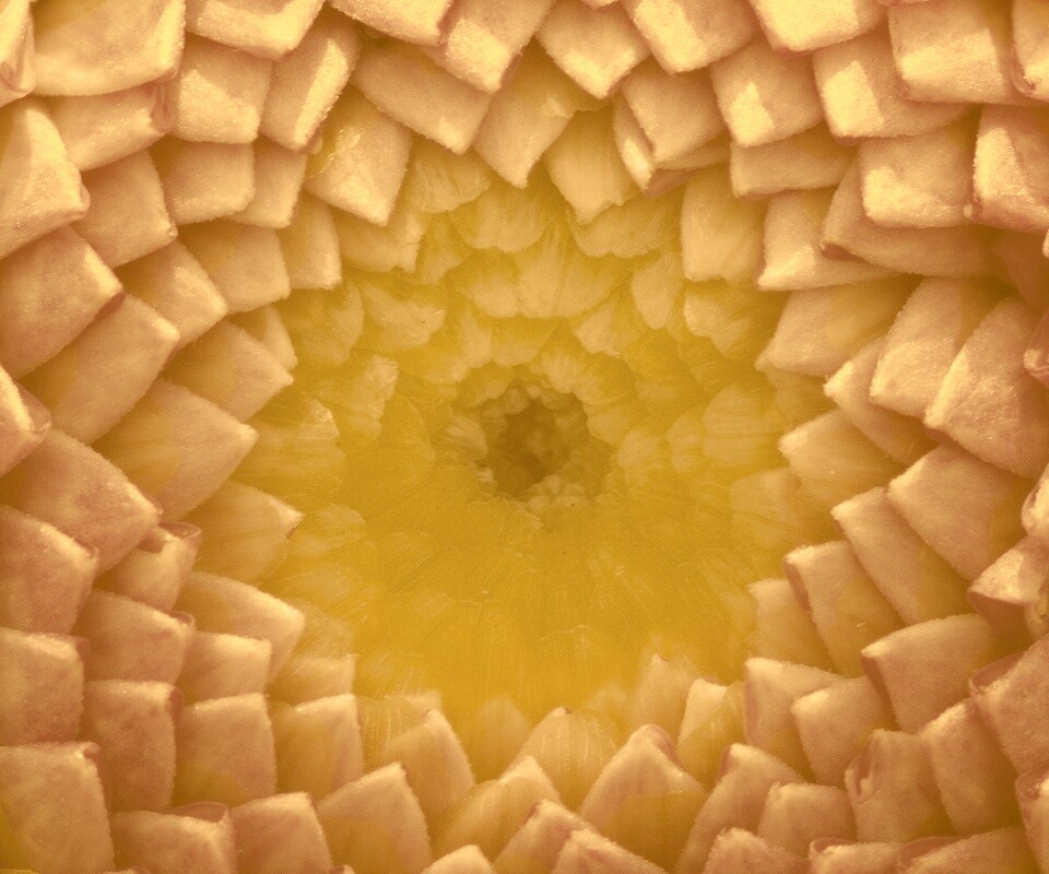 Сердцевина цветка обои