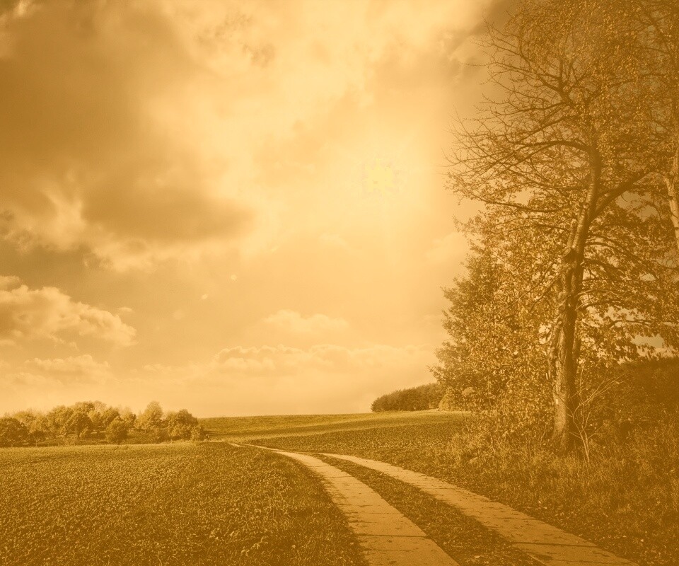 Солнечные холмы обои