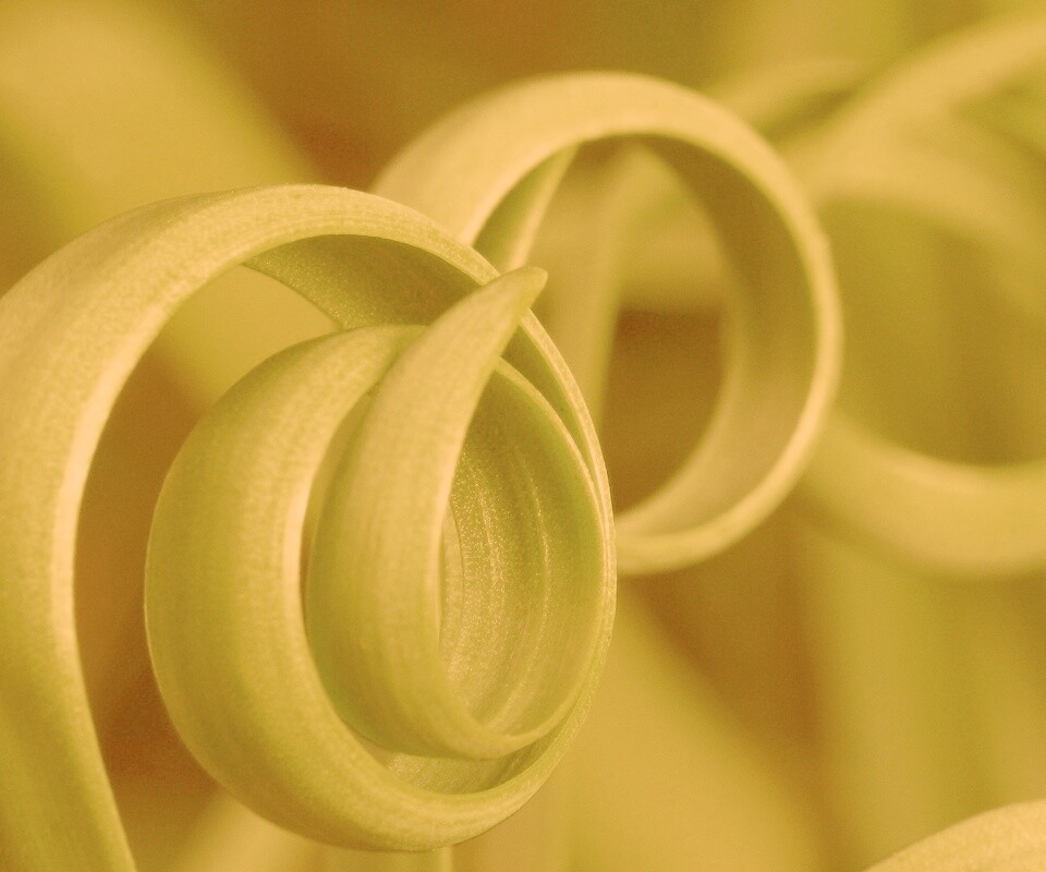 Зеленый обруч обои