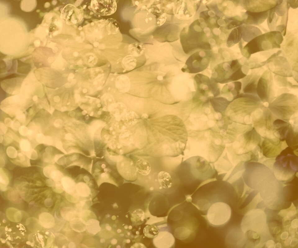 Цветочное нечто обои