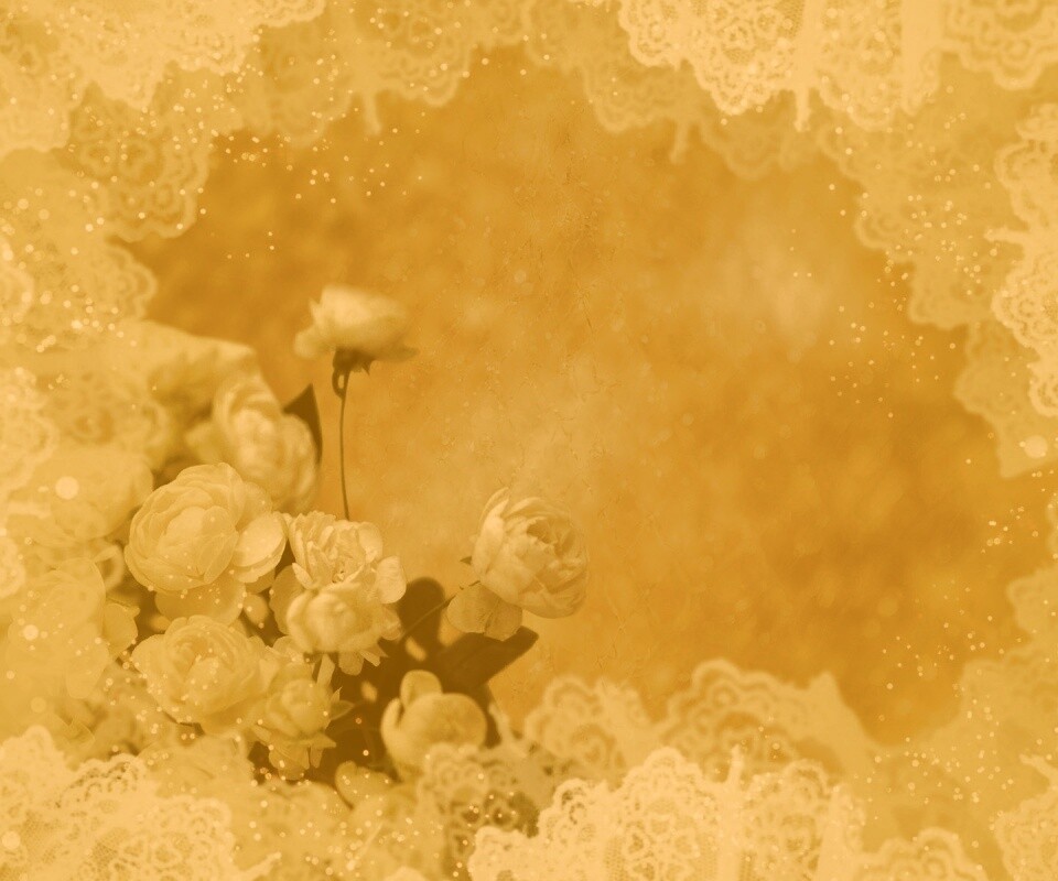 Бежевые кружева и розы обои