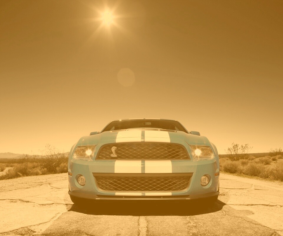 Форд Шелби обои