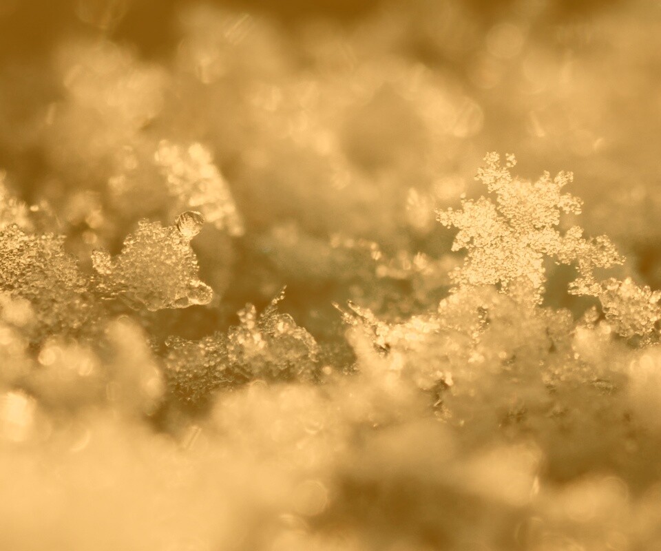 Макро фото снега обои