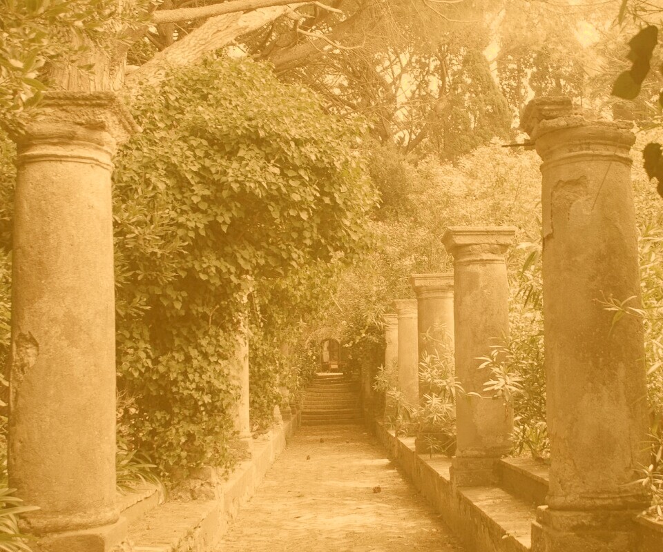 Галерея зимнего сада обои